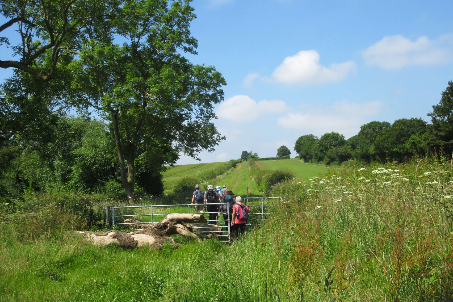 Green lane at Sturton